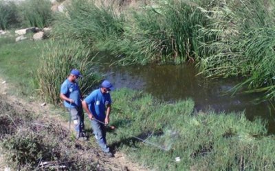 Sarıyar’ımızda İlaçlama Aralıksız Sürüyor