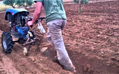 SARIYAR'IMIZ BAHÇELERİNDE ÇAPA SEZONU BAŞLADI