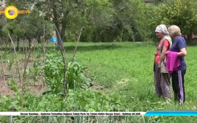 Sarıyar Kasabası - Kaderine Terkedilen Doğanın Tabiat Parkı Ve Yıkılan Kültür Sarıyar Evleri