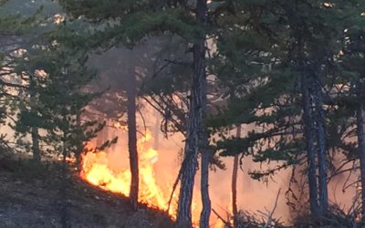 İLÇEMİZ NALLIHAN'DA ORMAN YANGIN SÖNDÜRME ÇALIŞMALARI DEVAM EDİYOR