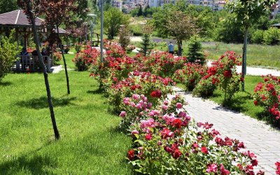 NALLIHAN BELEDİYE'MİZDEN MEVSİMLİK ÇİÇEK