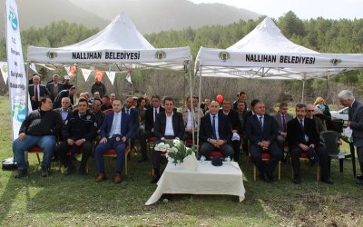 İlçemiz Nallıhan'da Orman Haftası Fidan Dikimi
