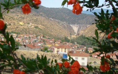 SARIYAR BARAJI  1974 TARIM İZCİ GRUBU