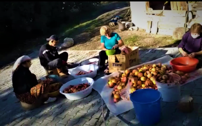 SARIYAR'IMIZDA NAR PEKMEZİ