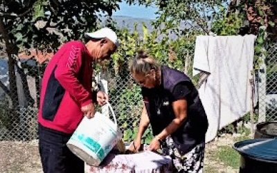 SARIYAR'IMIZDA BAĞ BOZUMU VE GELENEKSEL PEKMEZ YAPIMI