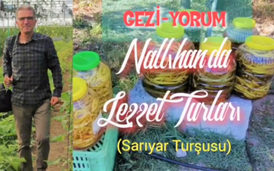 SARIYAR'IMIZDA GÜZEL İŞLER YAPILIYOR