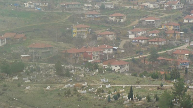 Sarıyarımızda Geleceğimiz İçin Bir Fidan