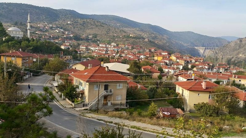 Sariyarli.Net