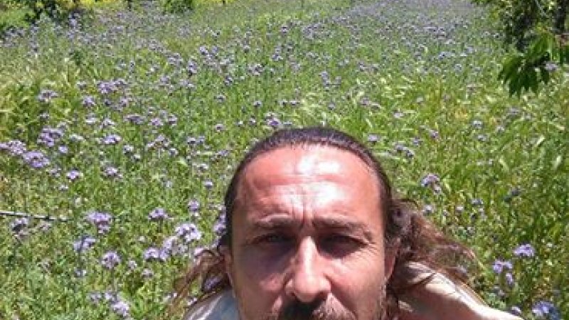 SARIYAR’IMIZ ARI SEVDALISI