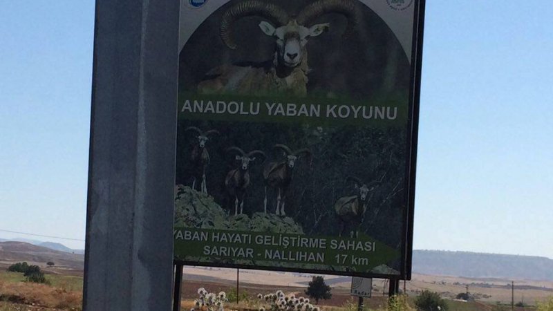 KAÇAK AVCILIKLA MÜCADELE