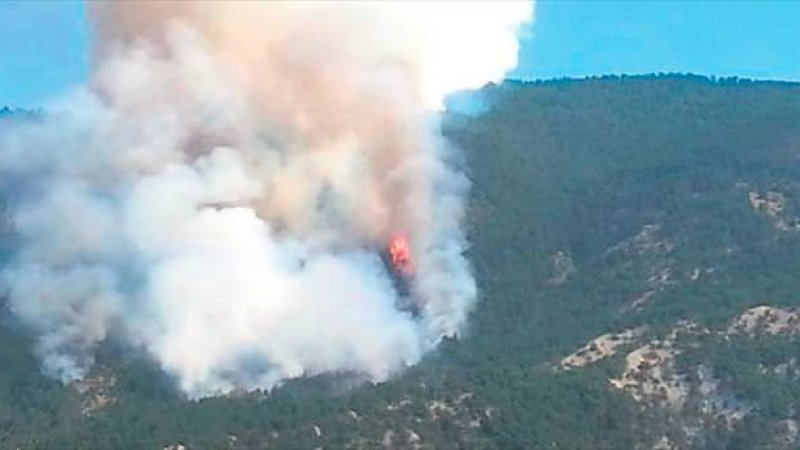İLÇEMİZ NALLIHAN'DA ORMAN YANGINI
