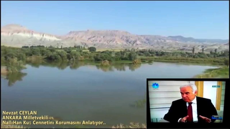 Kuş Cennetindeki Kuşlar Yeni Yapılan Tünellerle Huzura Kavuşuyor