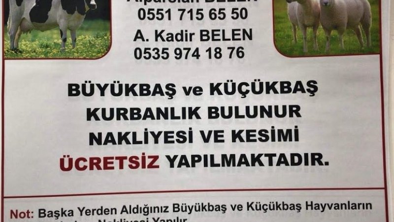 SARIYAR'IMIZDA KURBANLIKLAR GÖRÜCÜYE ÇIKTI