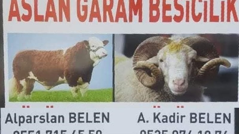 SARIYAR'IMIZDA GÜZEL İŞLER YAPILIYOR
