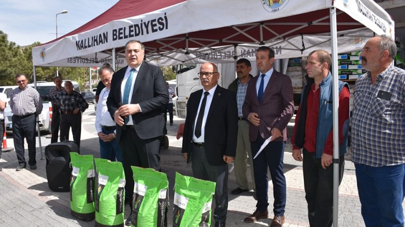 Nallıhan Belediyesi çiftçilere silajlık mısır tohumu dağıttı