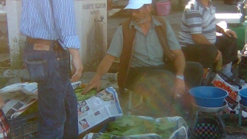 Sarıyar’ımız Üzüm Yaprağı
