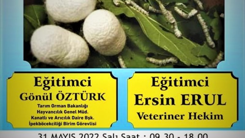 İPEKBÖCEĞİ YETİŞTİRİCİLİĞİNİN GEÇMİŞTEN GELECEĞE AKTARIMI PROJESİ EĞİTİMİ  SARIYAR'IMIZDA BAŞLIYOR.