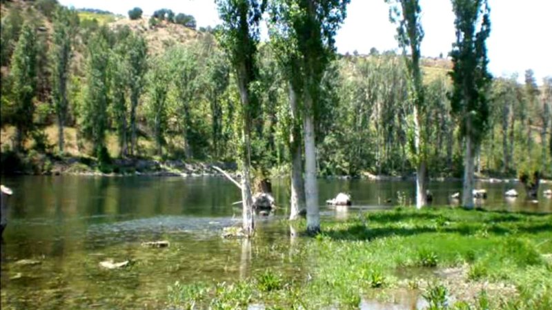 SARIYAR'IMIZ TARLA SULARINI GERİ VERİN
