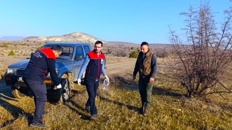 NALLIHAN'DA KUDUZA KARŞI YABAN HAYVANLARININ  AŞILAMA ÇALIŞMASI