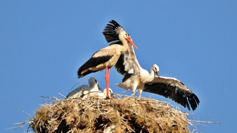 Sarıyar Fotoğraf Köşesi