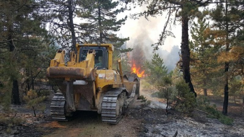 AK Parti Ankara Bölge Milletvekilimiz Nevzat Ceylan Orman Yangını Çiğerimizi Yaktı