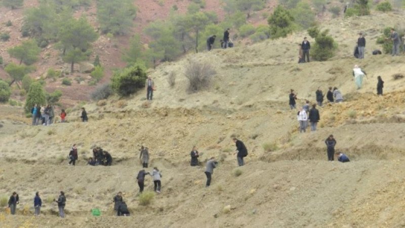 Ormanlarımız Ağaçlandırılıyor