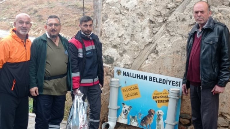 SARIYAR'IMIZDA SOKAK HAYVANLARINA MAMA DESTEĞİ