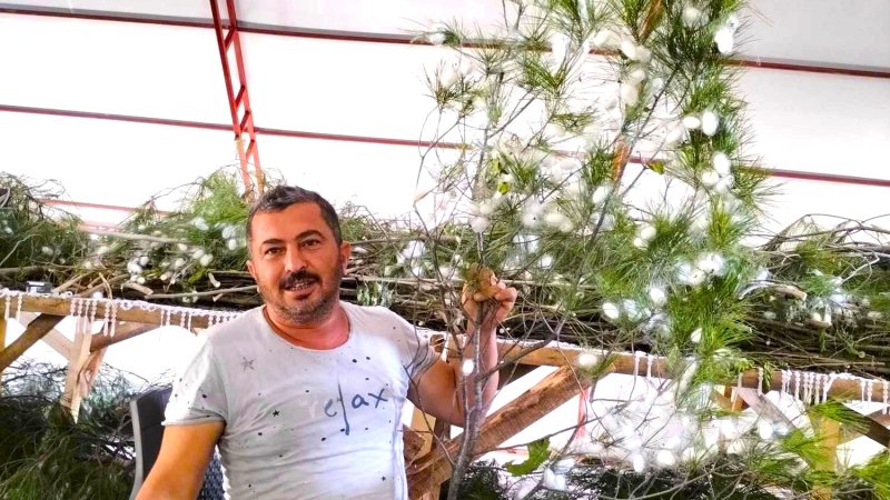 SARIYAR'IMIZDA İPEK KOZASI'NDA HASAT ZAMANI