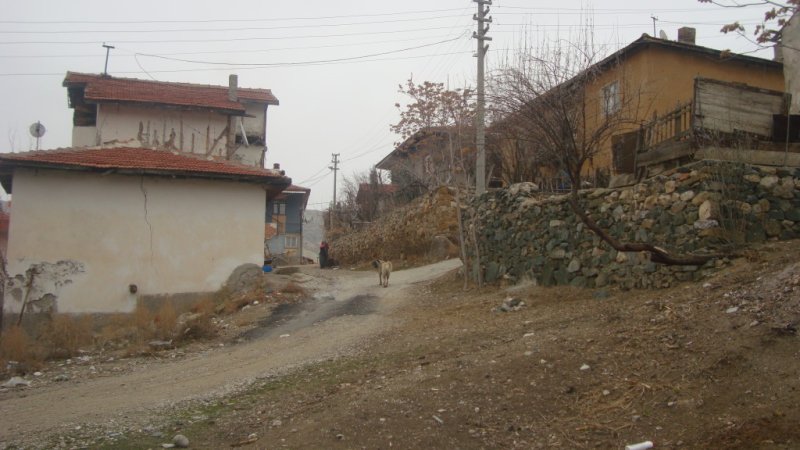 Sarıyar Baraj Yolu Evlerimiz