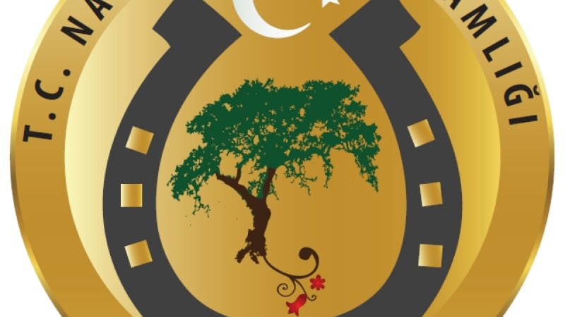 NALLIHAN SOSYAL YARDIMLAŞMA VE DAYANIŞMA VAKFI BAŞKANLIĞI