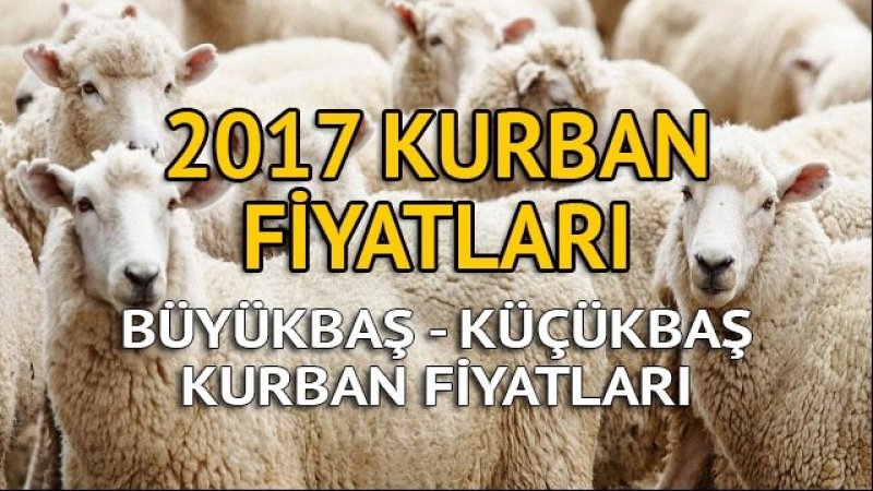 SARIYAR'IMIZDA KURBAN FİYATLARI BELLİ OLDU