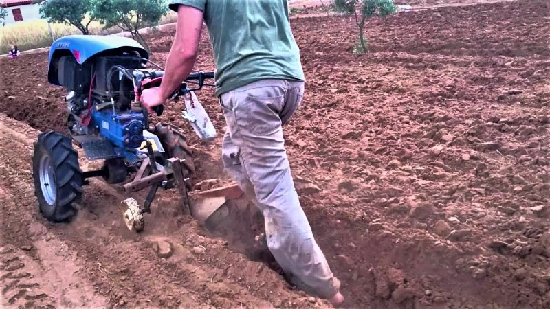 SARIYAR'IMIZ BAHÇELERİNDE ÇAPA SEZONU BAŞLADI