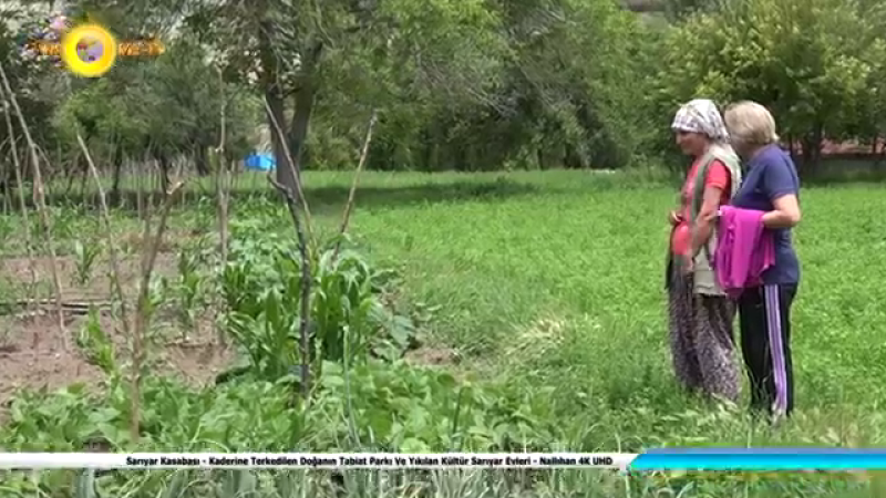 Sarıyar Kasabası - Kaderine Terkedilen Doğanın Tabiat Parkı Ve Yıkılan Kültür Sarıyar Evleri