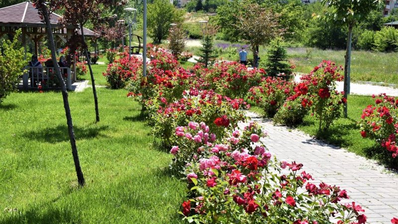 NALLIHAN BELEDİYE'MİZDEN MEVSİMLİK ÇİÇEK