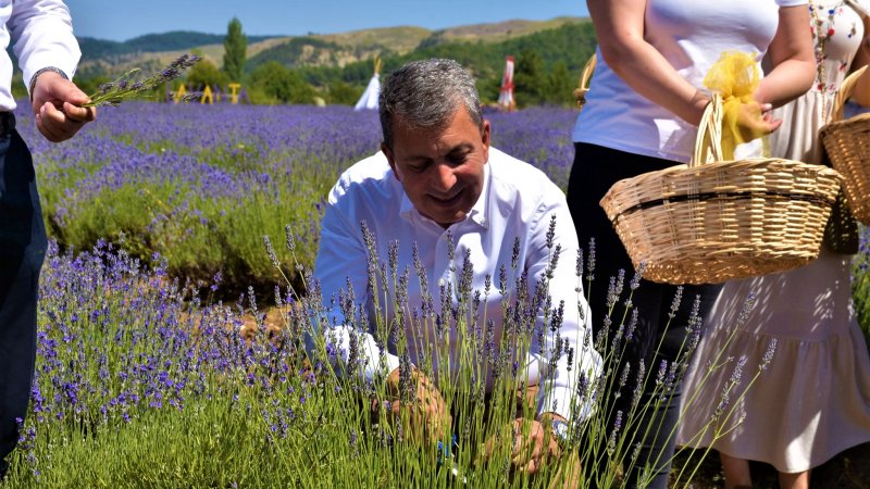 NALLIHAN LAVANTA HASAT ZAMANI