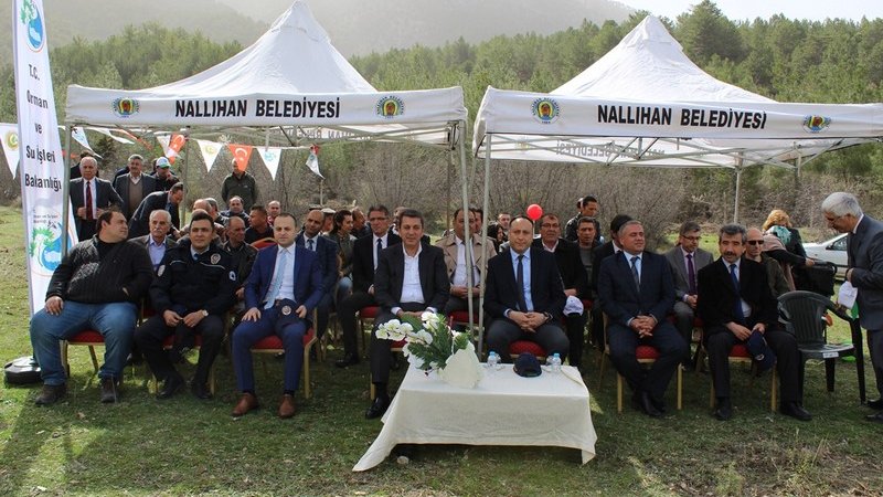 İlçemiz Nallıhan'da Orman Haftası Fidan Dikimi