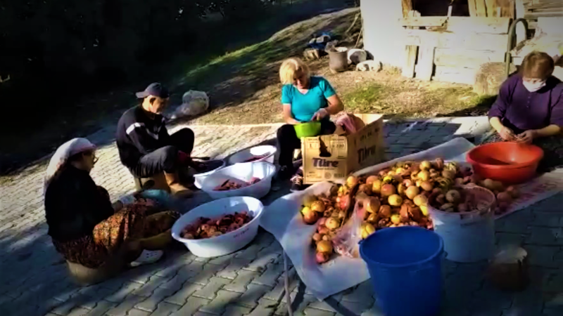 SARIYAR'IMIZDA NAR PEKMEZİ