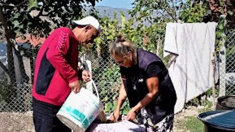 SARIYAR'IMIZDA BAĞ BOZUMU VE GELENEKSEL PEKMEZ YAPIMI
